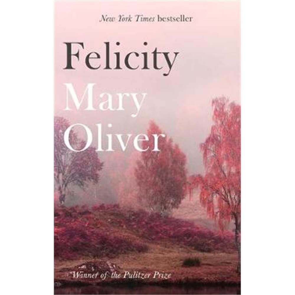 Felicity (Paperback) Mary Oliver Jarrold, Norwich